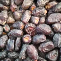 خرما درجه یک
