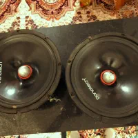 میدرنج الی صدا وحشی