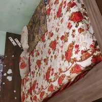 جنس چوب اصل  درجه یک بدون تشک|تخت و سرویس خواب|شاهین‌شهر, طالقانی|دیوار