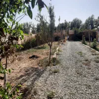باغچه در خیابان اول کاشانک اسلامشهر|فروش زمین و ملک کلنگی|اسلامشهر, کاشانک|دیوار