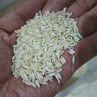 برنج صدری هاشمی|خوردنی و آشامیدنی|تبریز, |دیوار