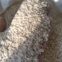 برنج طارم دمسیاه