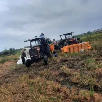 برنج هاشمی الک کارخانه محصول خودم