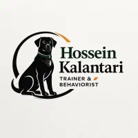 آموزش و تربیت تخصصی سگ‌های خانگی