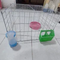 جفت کن تاشو