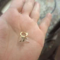 لنگه ی گوشواره گمشده