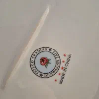 ۱۶عدد بشقاب و۴عدیس بزرگ چینی گلسرخی|ظروف سرو و پذیرایی|مسجد سلیمان, |دیوار