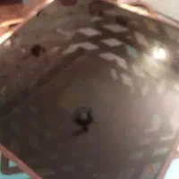 میز مبلی ومیز تلفنی|مبلمان خانگی و میز عسلی|شیراز, ریشمک|دیوار