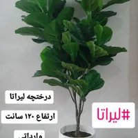 گل و درختچه مصنوعی|گل مصنوعی|رشت, بازار|دیوار