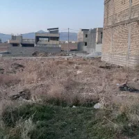 فروش نقدی|فروش زمین و ملک کلنگی|چادگان, |دیوار