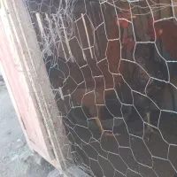 با سلام دو عدد مرغ