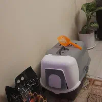 باکس خاک گربه و خاک گربه نو پلمپ