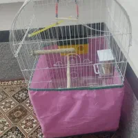قفس بزرگ‌|لوازم جانبی حیوانات|سنندج, |دیوار