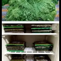 سبزی خورشتی رامهرمز آبپز شده درجه یک کیلو ۸۵