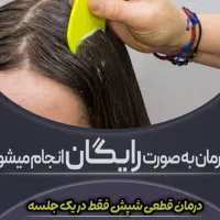 شپش سر رو تضمینی درمان میکنیم رایگان|آرایشی، بهداشتی، درمانی|کرج, پیشاهنگی|دیوار