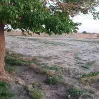 زمین مخصوص باغ و باغچه|فروش زمین و ملک کلنگی|جوادآباد, |دیوار