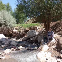 خانه-ویلایی