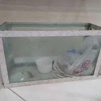 آکواریوم همراه شن و صخره