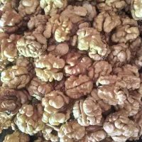 گردو سفید روغنی ضیاءآباد|خوردنی و آشامیدنی|ضیاء آباد, |دیوار