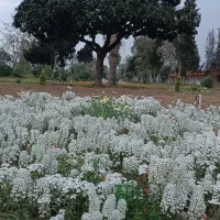 سوله-همراه-دفتر-و-خانه-دوبلکس-سرایداری