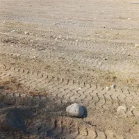 زمین باغی کشاورزی رودان برنطین دشت صفا قیمت ازشما