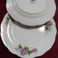 ۵ دست بشقاب میوه خوری گل سرخ