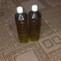 روغن زیتون ضمانتی و اصل|خوردنی و آشامیدنی|فاضل آباد, |دیوار