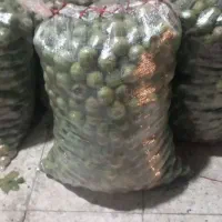 گردو نهاوند درجه یک