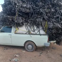 نوار طیف