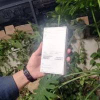 آیفون ۱۷ نرمال سفید ۲۵۶ نات اکتیو رجیستر نشده