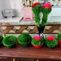 سبزه های جدید بافتنی|صنایع دستی و سایر لوازم تزئینی|خرم‌آباد, |دیوار