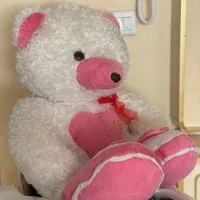 روروئک و عروسک|اسباببازی|همدان, |دیوار