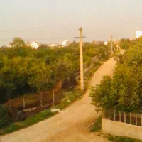 فروش-فوری-زمین-باغی-واقع-در-رباط-خلیلشهر