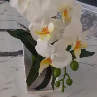 گل رو میزی|گل مصنوعی|کرج, کوی امامیه|دیوار