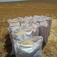 کاه|لوازم جانبی حیوانات|اهواز, زرگان|دیوار