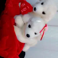 عروسک برای وَلِنتاین(سایز عروسک بزرگ است)|اسباببازی|فردیس, قریشی|دیوار