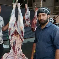 گاو گوسفند قصاب (محرم)