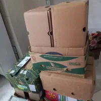 کارتون موزی ۱۴ تا دونه ۲۰