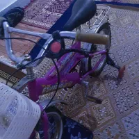 دوچرخه  سایز 20و16|دوچرخه، اسکیت، اسکوتر|شیراز, پانصد دستگاه ارتش|دیوار