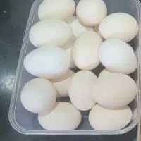 تخم مرغ محلی