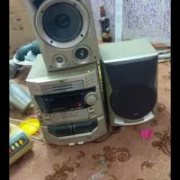 ضبط