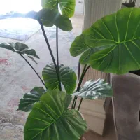 گل مصنوعی همراه با گلدون گلی بزرگ