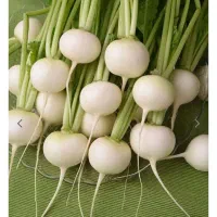 ترپ سفیدو سیاه و شلغم و اوشینی