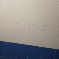 شاگردکاشیکار میخوام