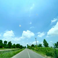 زمین-با-پروانه-ساخت-احمد-سرکوراب-شفت-رشت