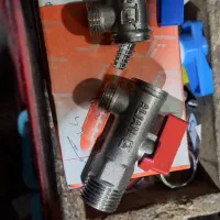 تعداد ۱۵۰ عدد شیر پیسوار