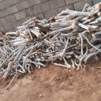 باسلام فروش انواع چوب باغی هیزمی|خدمات باغبانی و درختکاری|فلاورجان, |دیوار