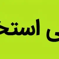 استخدام نیرو