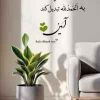 مداح دعا قرائت قرآن با دستگاه