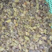 کشمش بند محلی بدون تیزاب و مواد نگهدارنده